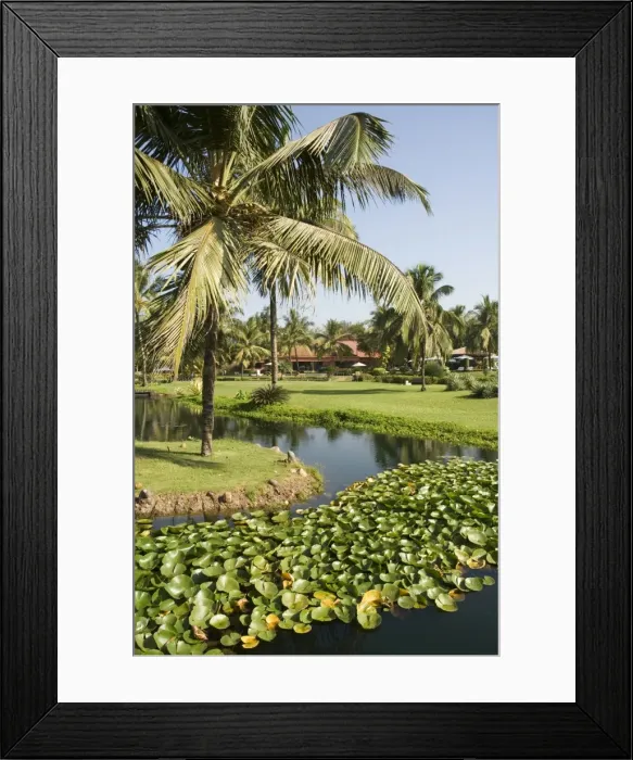 Framed Print : The garden and golf course at the Leela Hotel Framed Print : The garden and golf course at the Leela Hotel