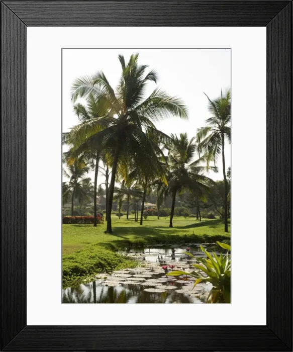 Framed Print : The garden and golf course at the Leela Hotel Framed Print : The garden and golf course at the Leela Hotel
