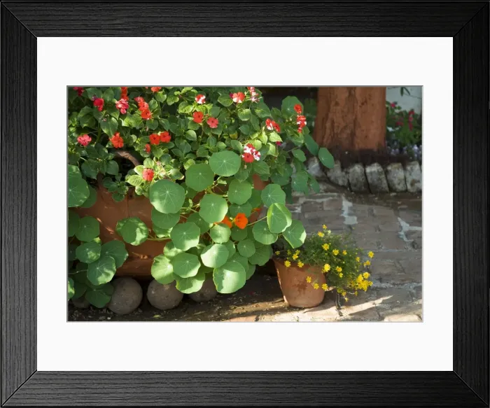 Framed Print : Ahilya Fort