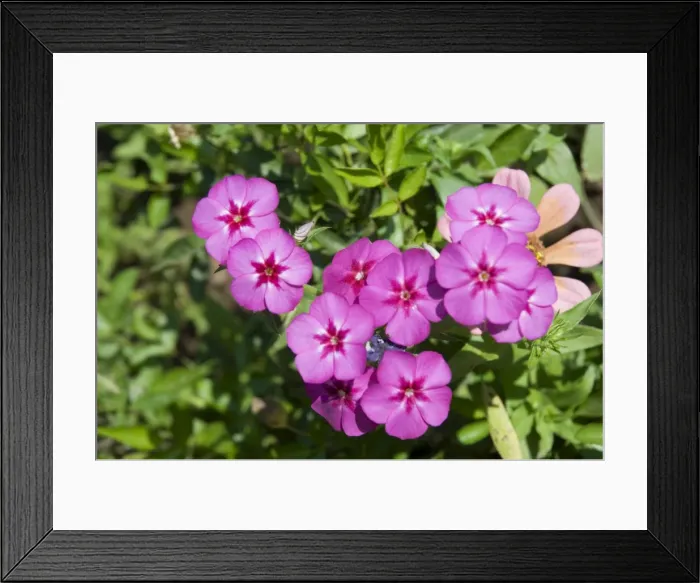 Framed Print : Ahilya Fort Framed Print : Ahilya Fort