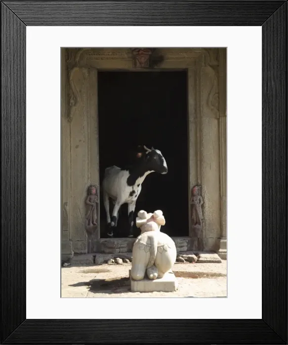 Framed Print : Hindu shrine complete with goat on the ghats below Ahilya Fort Framed Print : Hindu shrine complete with goat on the ghats below Ahilya Fort