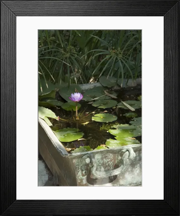 Framed Print : Ahilya Fort now a heritage hotel on the banks of the Narmada River Framed Print : Ahilya Fort now a heritage hotel on the banks of the Narmada River