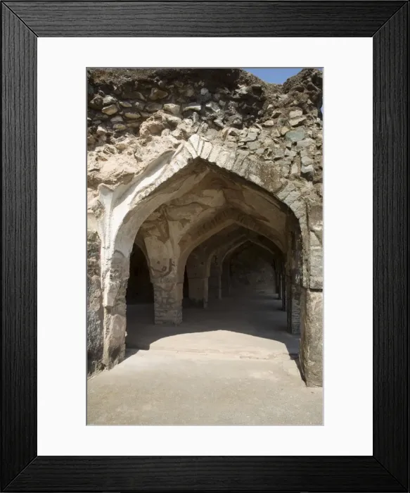 Framed Print : Champa Baoli in the Royal Enclave Framed Print : Champa Baoli in the Royal Enclave