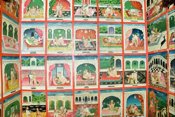 Scenes from the Kama Sutra in a cupboard in the Juna Mahal fort