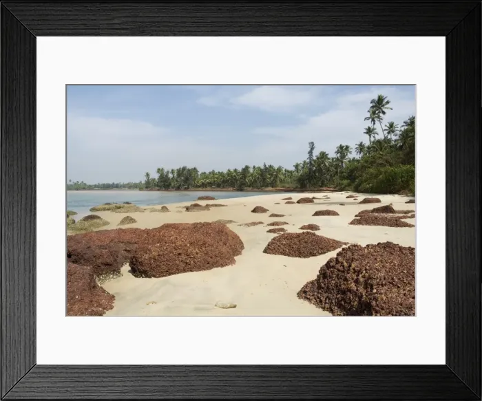 Framed Print : Beach near Goa in Maharastra Framed Print : Beach near Goa in Maharastra