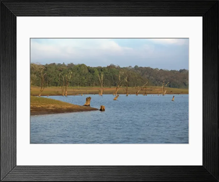Framed Print : Lake Periyar Framed Print : Lake Periyar