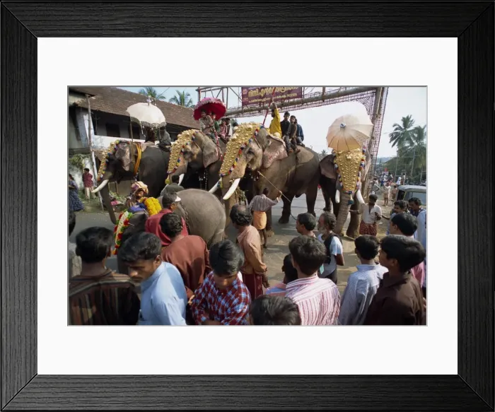 Framed Print : Crowds watch elephants in town in Kerala state Framed Print : Crowds watch elephants in town in Kerala state