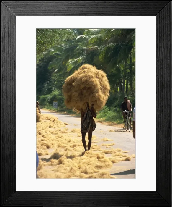 Framed Print : Man carrying coir fibre on his head Framed Print : Man carrying coir fibre on his head