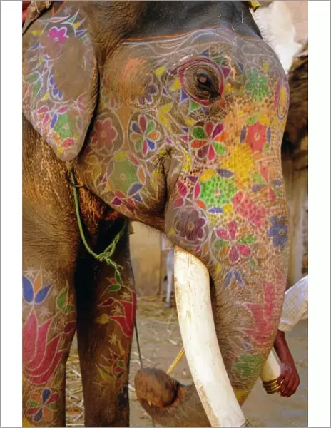 Painted elephant