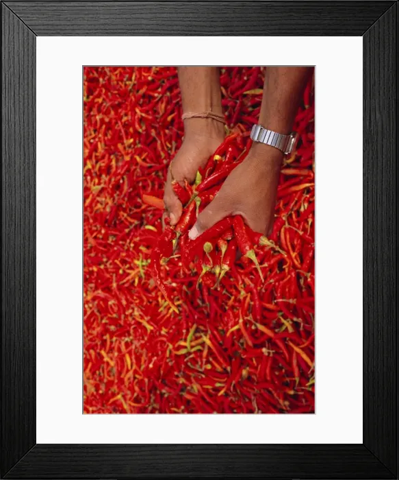 Framed Print : Red chilli peppers Framed Print : Red chilli peppers