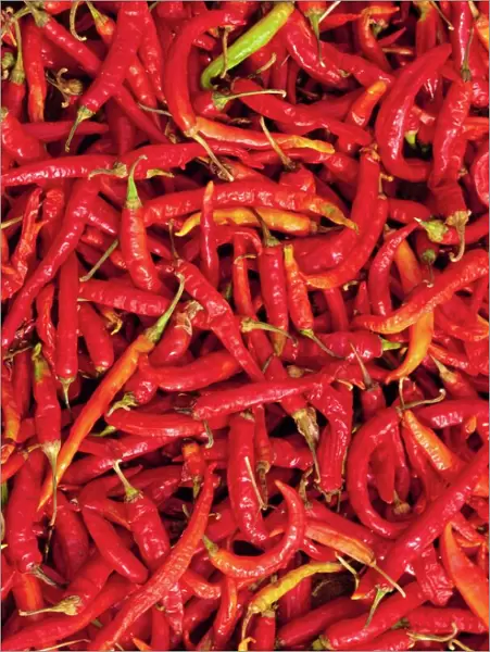 Red chilli peppers
