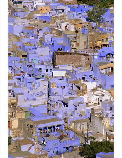 The blue town of Jodhpur
