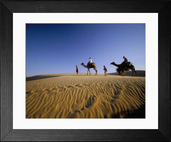 Framed Print : Caravan of people and camels in the Thar Desert Framed Print : Caravan of people and camels in the Thar Desert