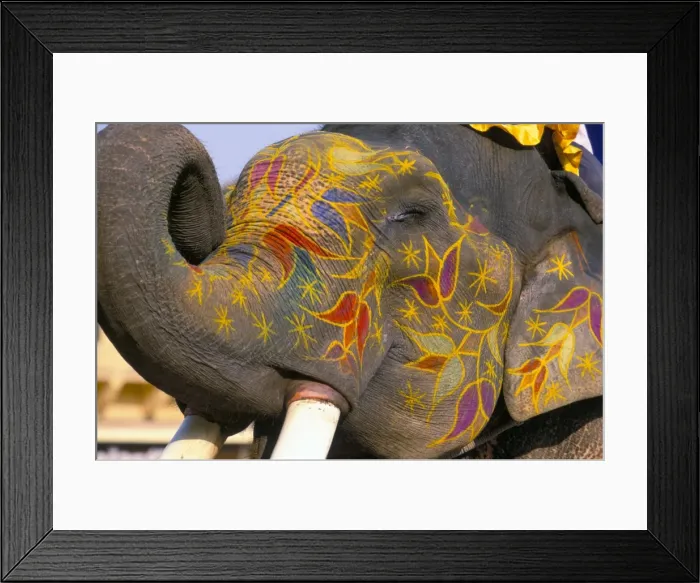 Framed Print : Painted elephant Framed Print : Painted elephant