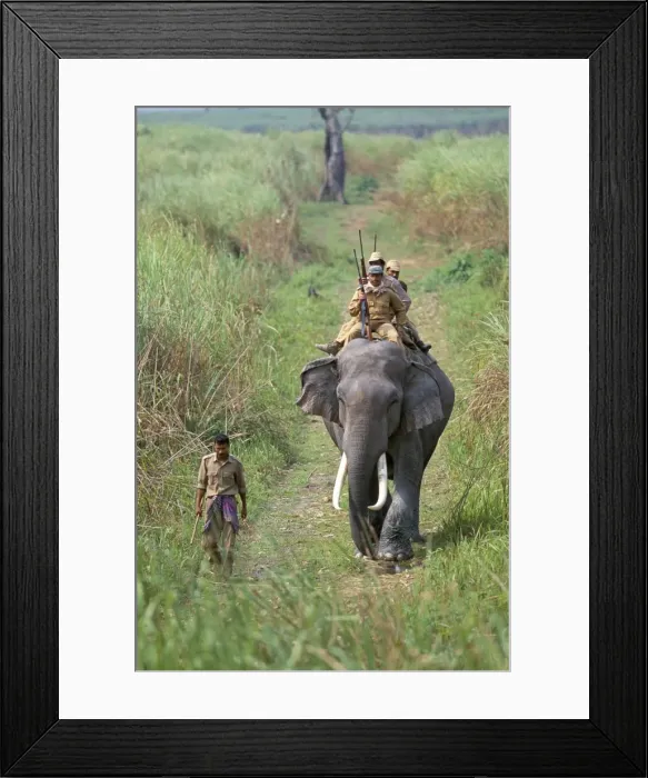 Framed Print : Game guards patrolling on elephant back Framed Print : Game guards patrolling on elephant back