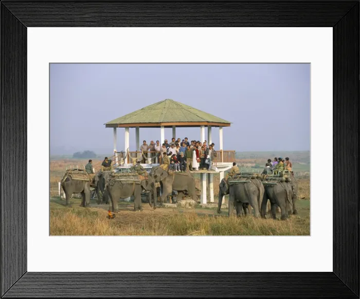 Framed Print : Tourists on elephant back safari Framed Print : Tourists on elephant back safari