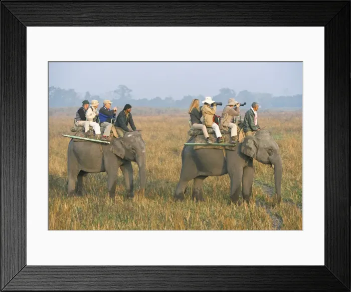 Framed Print : Safari on elephant back