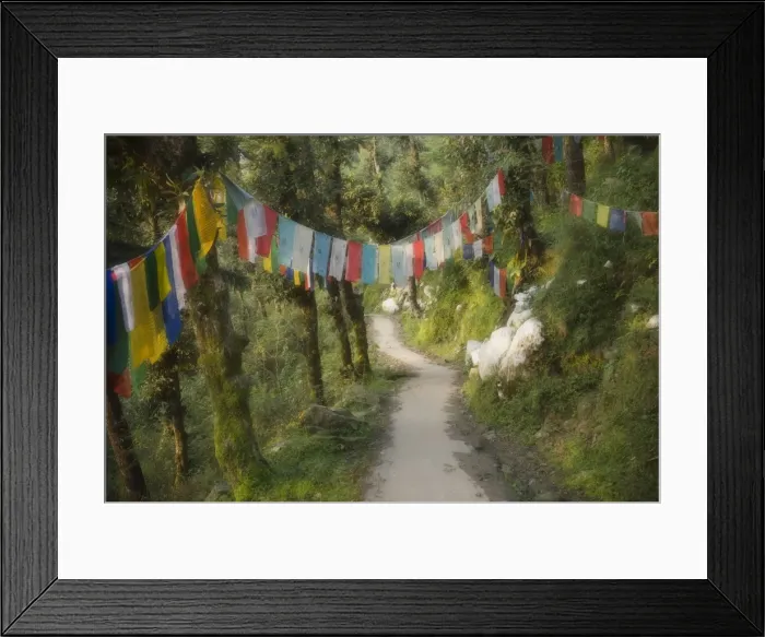 Framed Print : Path and prayer flags Framed Print : Path and prayer flags