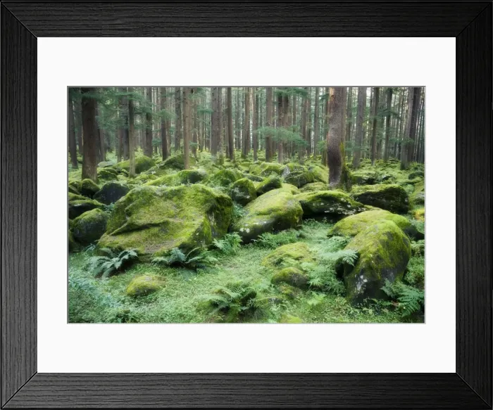 Framed Print : Mossy rocks Framed Print : Mossy rocks