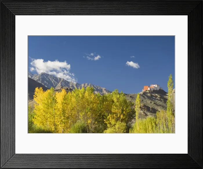 Framed Print : Matho gompa (monastery) and Stok-Kangri massif Framed Print : Matho gompa (monastery) and Stok-Kangri massif