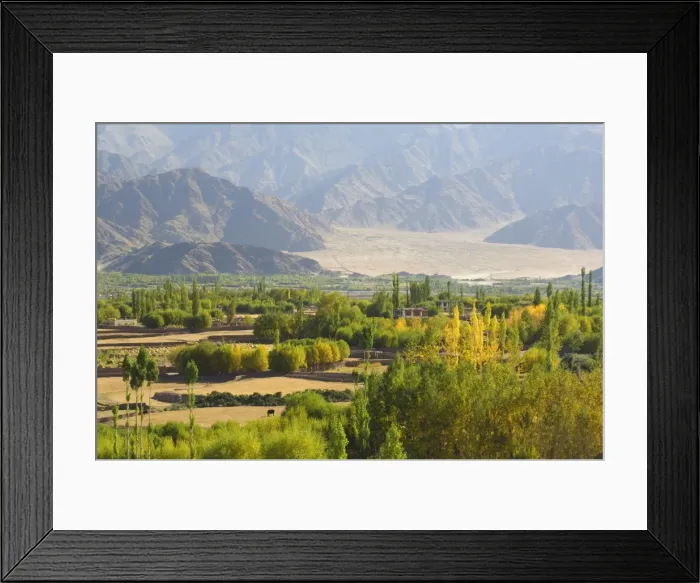 Framed Print : Indus Valley Framed Print : Indus Valley