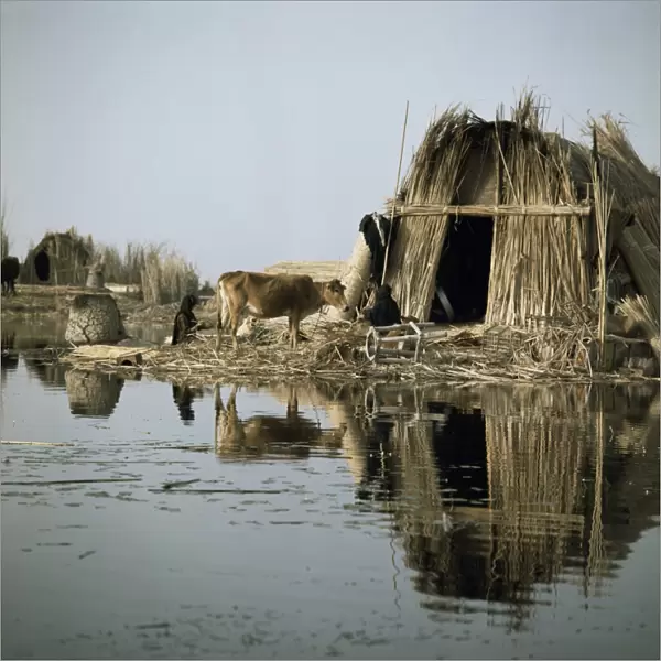 Village in the Marshes