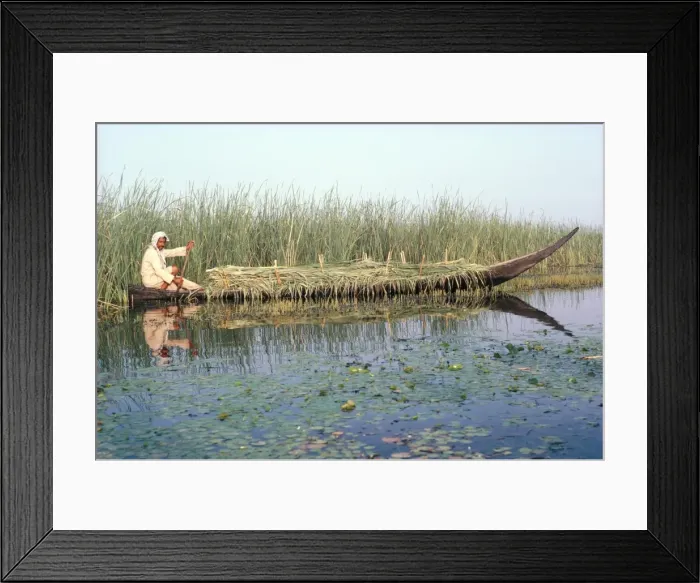 Framed Print : Man gathering reeds Framed Print : Man gathering reeds