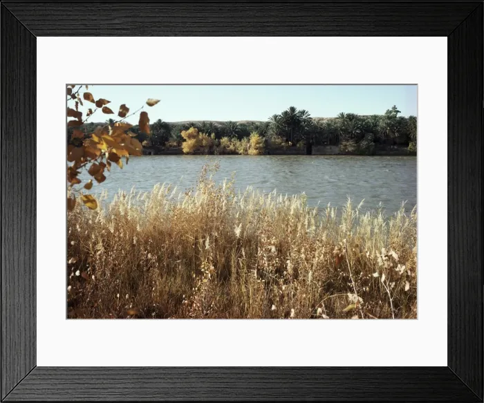 Framed Print : Autumn, Ana