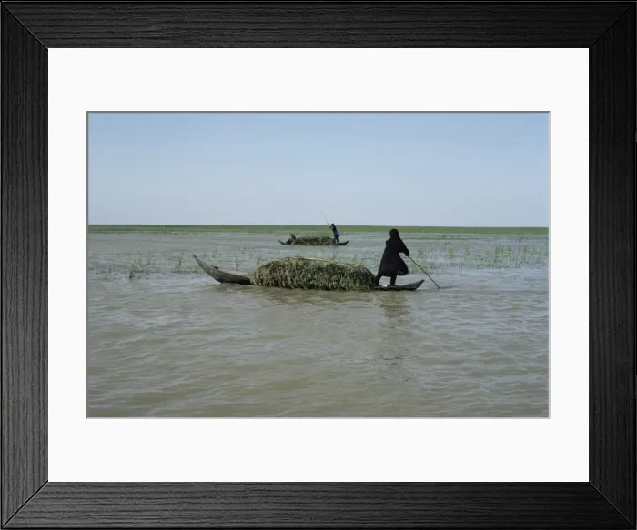 Framed Print : Grindly, Iraq Framed Print : Grindly, Iraq