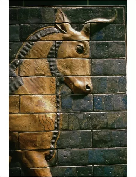Babylonian wall tiles