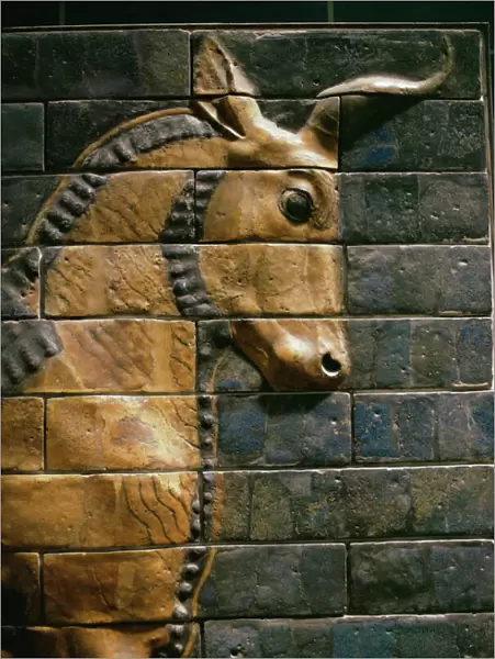 Babylonian wall tiles