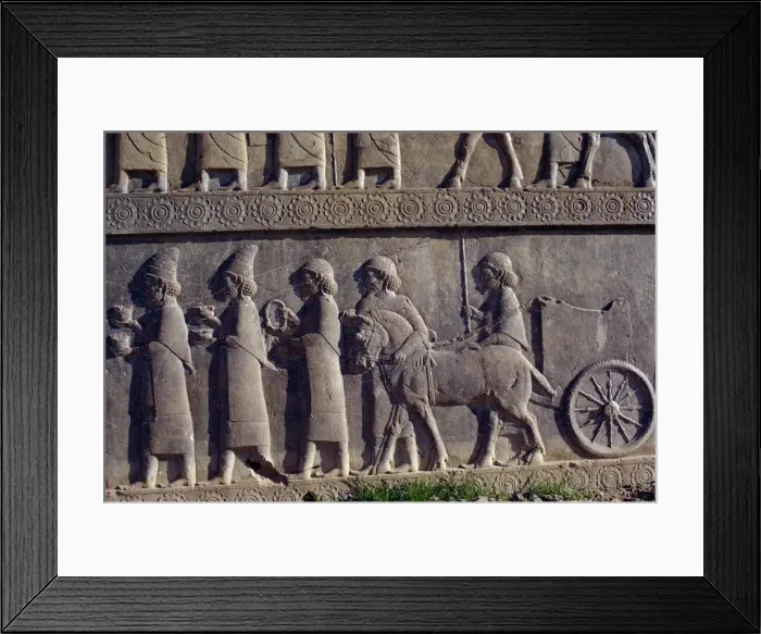 Framed Print : Reliefs, Persepolis Framed Print : Reliefs, Persepolis