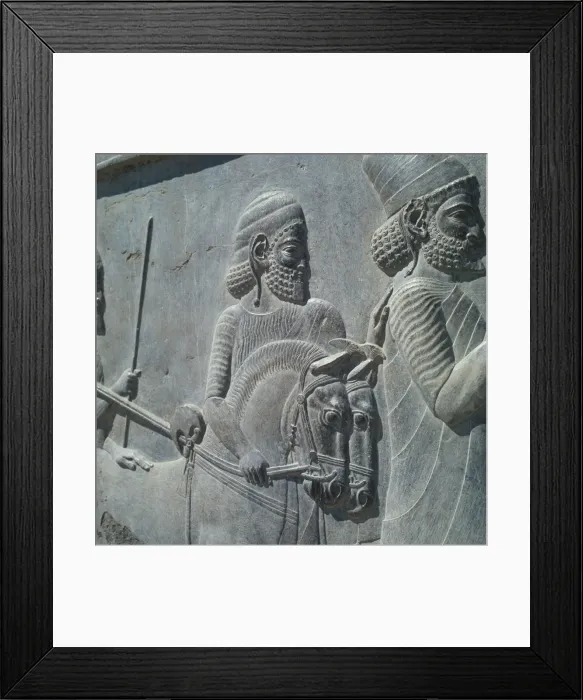 Framed Print : Persepolis Framed Print : Persepolis