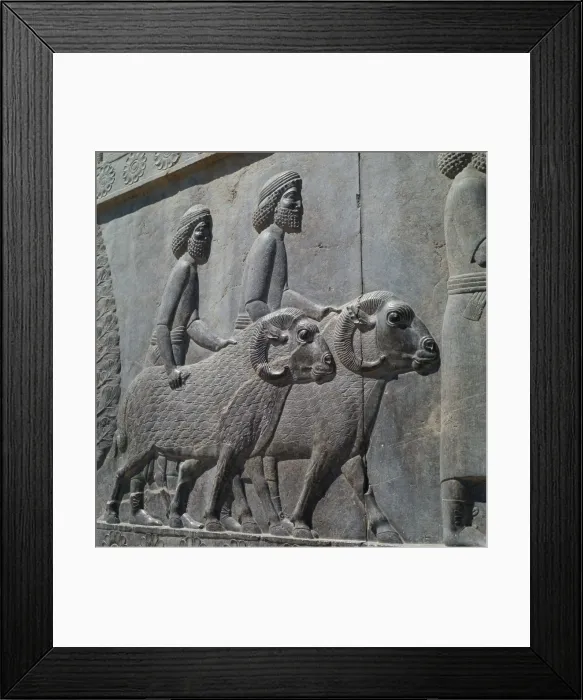 Framed Print : Persepolis Framed Print : Persepolis