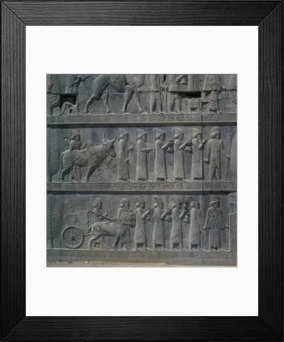 Framed Print : Persepolis Framed Print : Persepolis