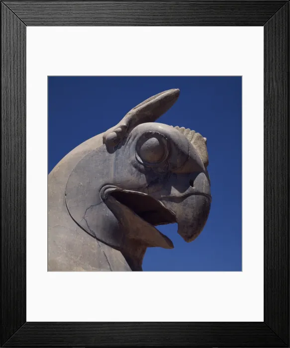 Framed Print : The Head of Hona (sacred bird) Framed Print : The Head of Hona (sacred bird)