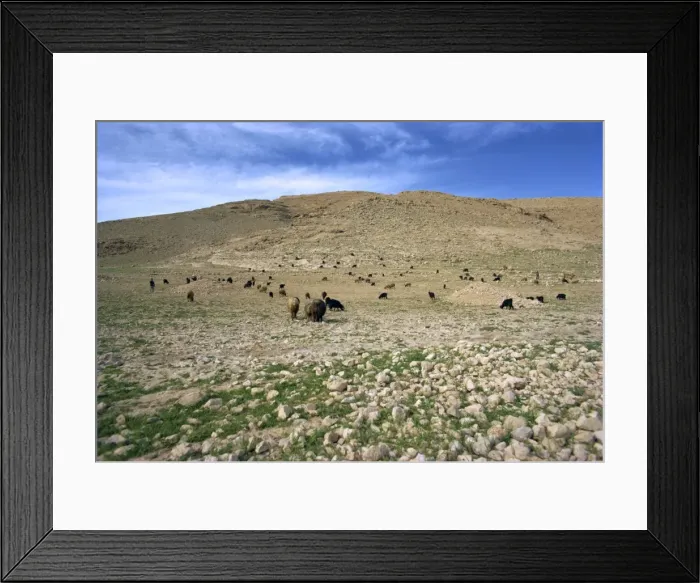 Framed Print : Landscape near Shiraz Framed Print : Landscape near Shiraz