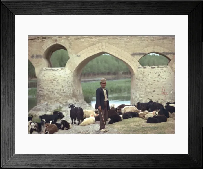Framed Print : Shepherd, Shahrestan Bridge Framed Print : Shepherd, Shahrestan Bridge