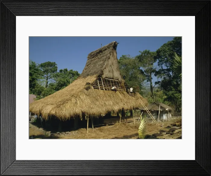 Framed Print : Men thatching the roof of a house near Moni Framed Print : Men thatching the roof of a house near Moni
