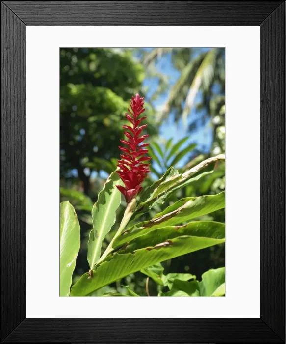 Framed Print : Bali Hyatt Hotel