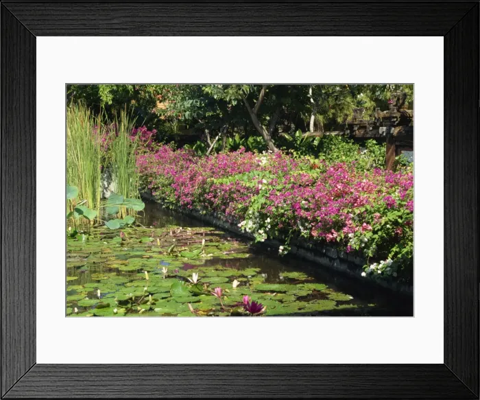 Framed Print : Grand Hyatt Hotel Framed Print : Grand Hyatt Hotel