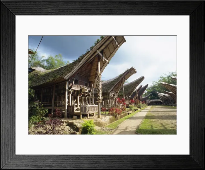 Framed Print : Toraja houses and granaries Framed Print : Toraja houses and granaries