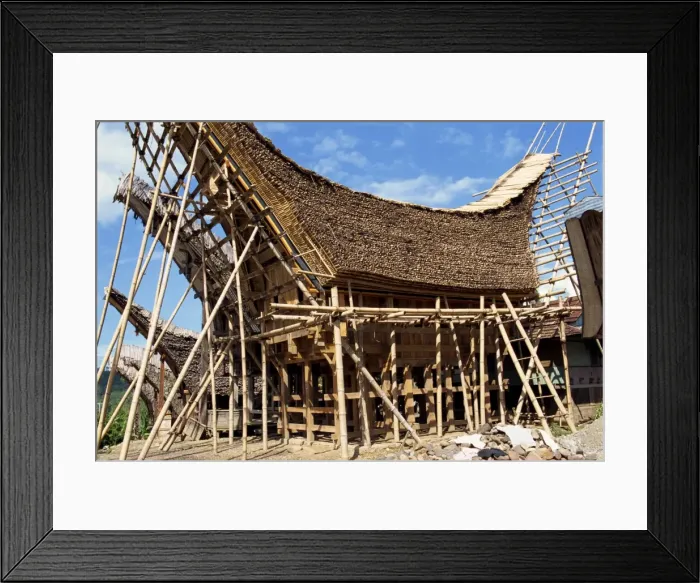 Framed Print : Traditional Toraja house under construction