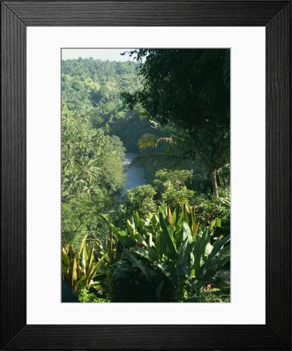 Framed Print : Ubud area, Bali Framed Print : Ubud area, Bali