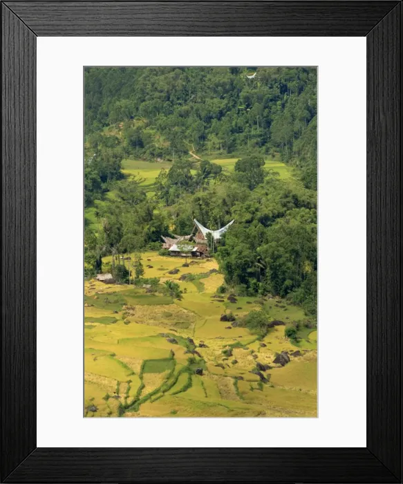 Framed Print : Valley, Toraja area Framed Print : Valley, Toraja area