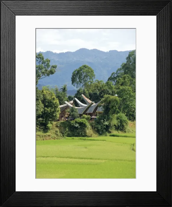 Framed Print : Houses near the highest mountain in Toraja Framed Print : Houses near the highest mountain in Toraja