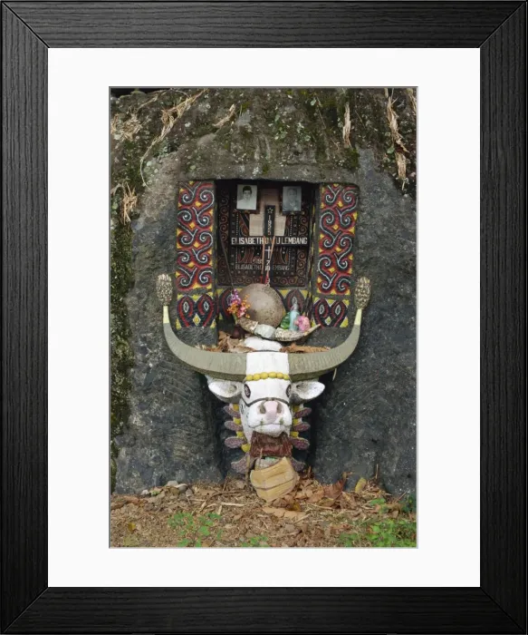 Framed Print : Toraja area Framed Print : Toraja area