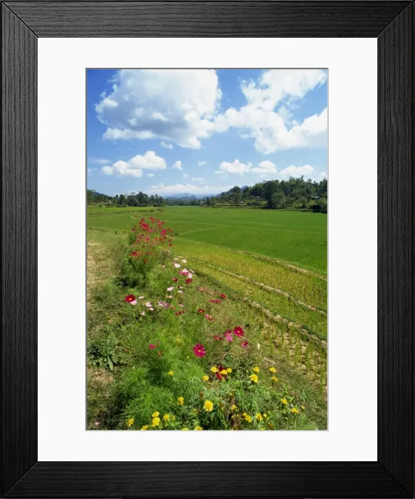 Framed Print : Toraja border area Framed Print : Toraja border area