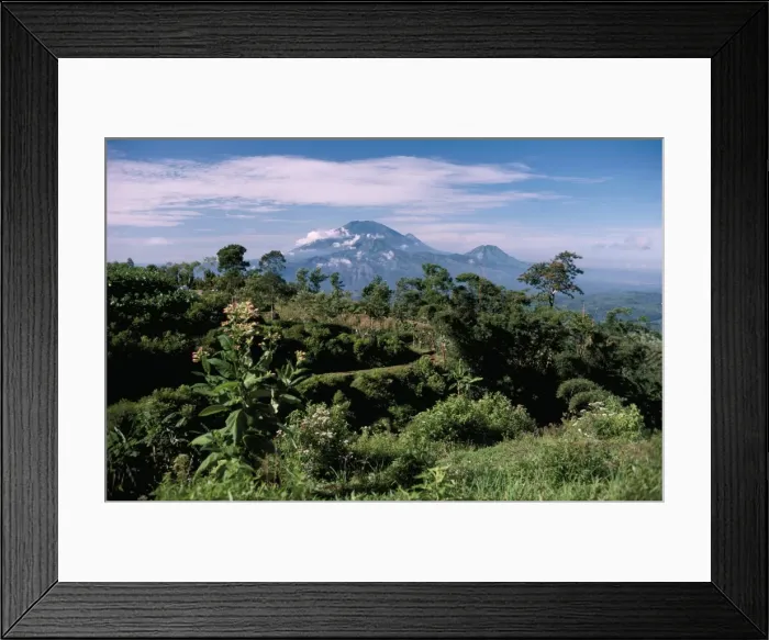 Framed Print : Site of Gedong Songo Framed Print : Site of Gedong Songo
