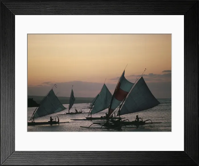 Framed Print : Outrigger fishing boats under sail Framed Print : Outrigger fishing boats under sail